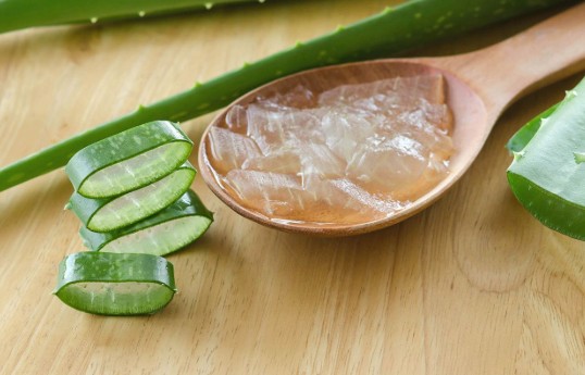 Aloe vera