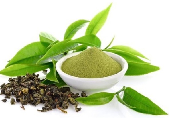 Green Tea Extract